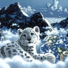 белый тигренок