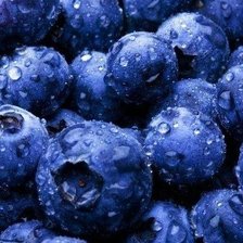 Схема вышивки «черника»