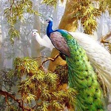 Схема вышивки «павлины»