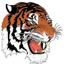 Схема вышивки «тигр»