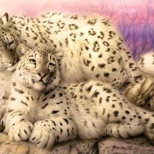 Схема вышивки «снежные барсы»