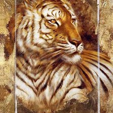 Tigris