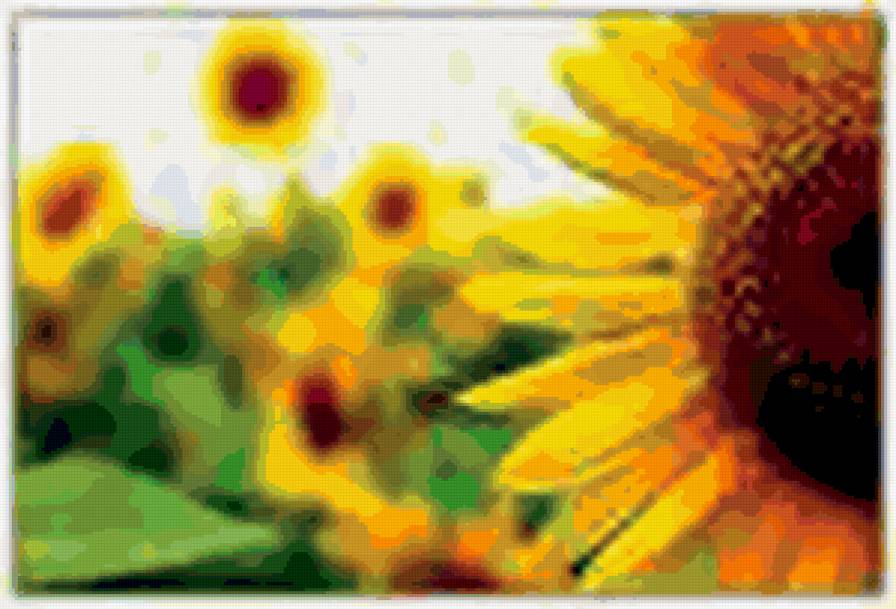 Подсолнух - лето, подсолнух - предпросмотр