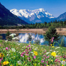 Схема вышивки «пейзаж»