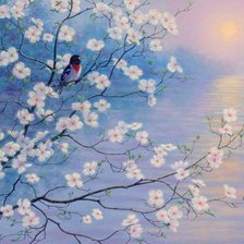 Схема вышивки «весенний сад»