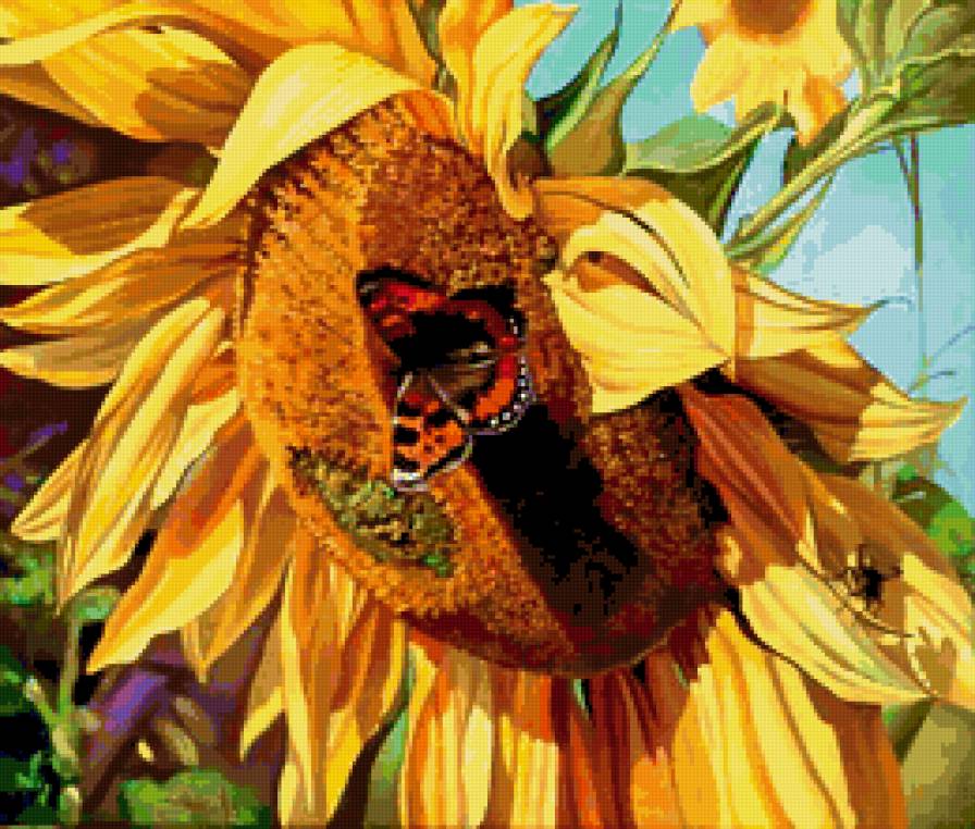 подсолнухи - романтика, природа, цветы, , букет, натюрморт - предпросмотр