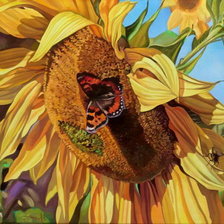 Схема вышивки «подсолнухи»