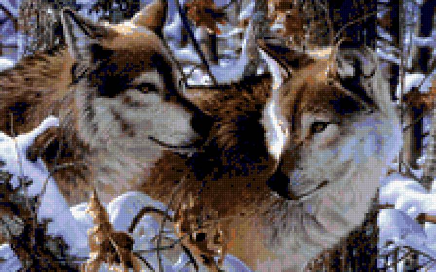 Волки пара - предпросмотр