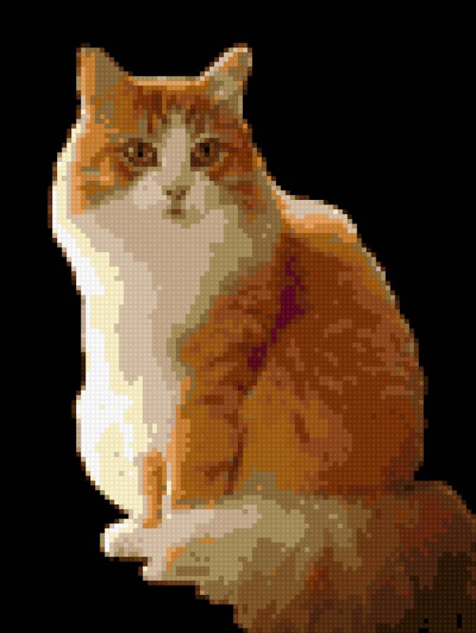 Тихон - предпросмотр