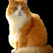 Схема вышивки «Тихон»