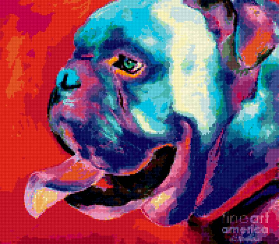 Бульдог - собаки, бульдог - предпросмотр