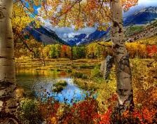 Схема вышивки «№234687»