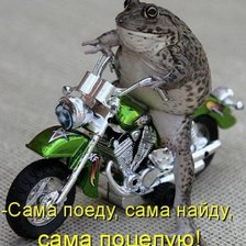 Схема вышивки «В активном поиске)»