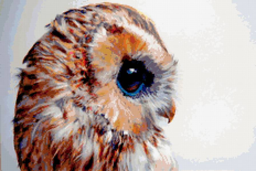 Совёнок - предпросмотр