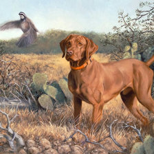 Схема вышивки «vizsla kutya»