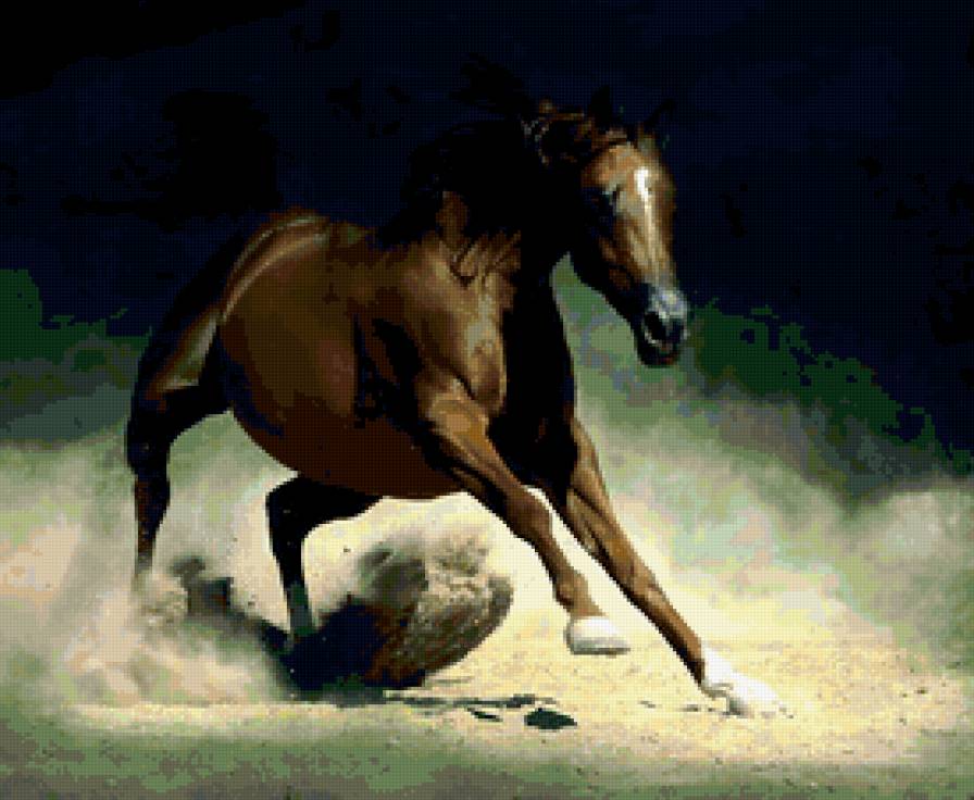 Лошадь - лошадь, конь - предпросмотр