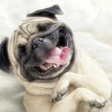 Схема вышивки «Ой,рассмешил!)))»