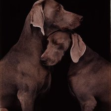 Схема вышивки «Собачки»