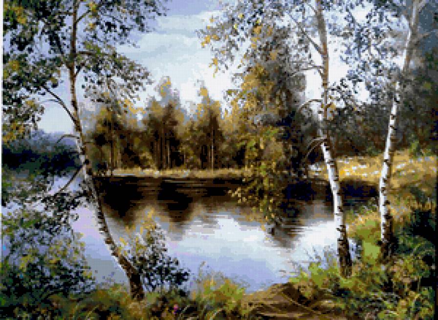 Берёзки у реки - лето, красота природы, река, березки, береза, природа, лес - предпросмотр