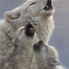 Схема вышивки «урок пения»