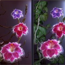 Схема вышивки «ЦВЕТЫ»