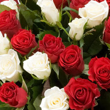 Схема вышивки «РОЗЫ»