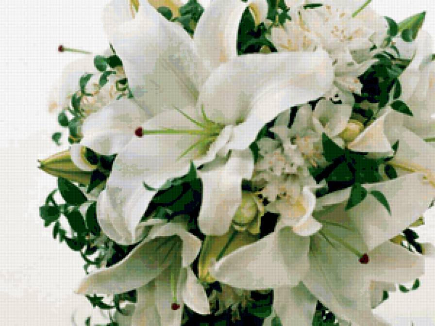 лилии - лилии, цветы - предпросмотр