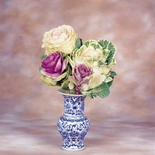 Схема вышивки «цветная капуста»