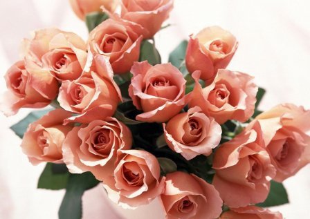 розы - букет, розы, цветы - оригинал