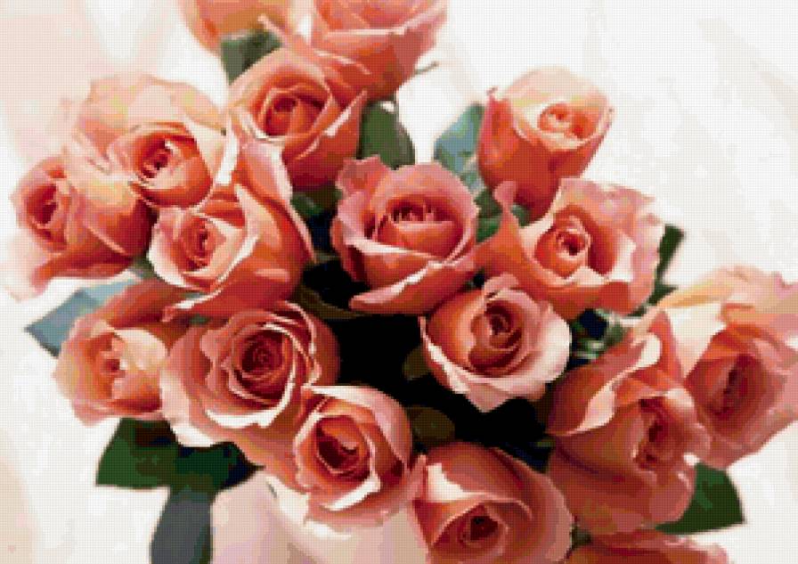 розы - цветы, букет, розы - предпросмотр