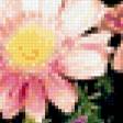 Предпросмотр схемы вышивки «букет» (№235425)