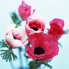 Схема вышивки «цветы»