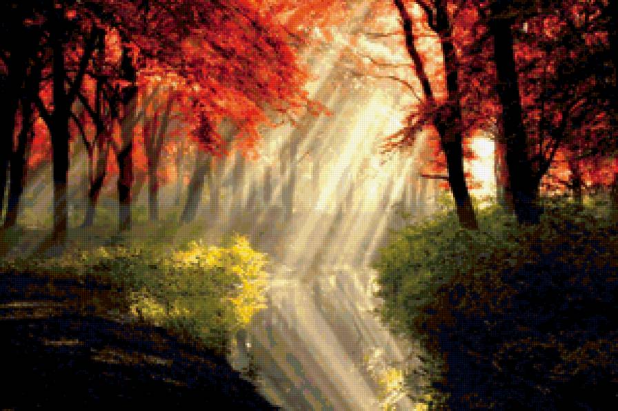 игра света в лесу - лучи, луч, свет, лес - предпросмотр