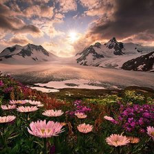 Схема вышивки «Аляска, США»