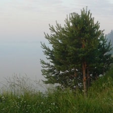 Схема вышивки «волга»