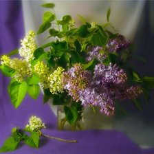 Схема вышивки «букет»