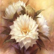 Схема вышивки «№235567»