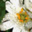 Предпросмотр схемы вышивки «Букет» (№235606)