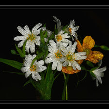 Схема вышивки «Букет»