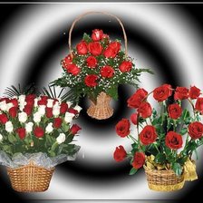 Схема вышивки «Розы»