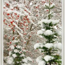 Схема вышивки «зима»