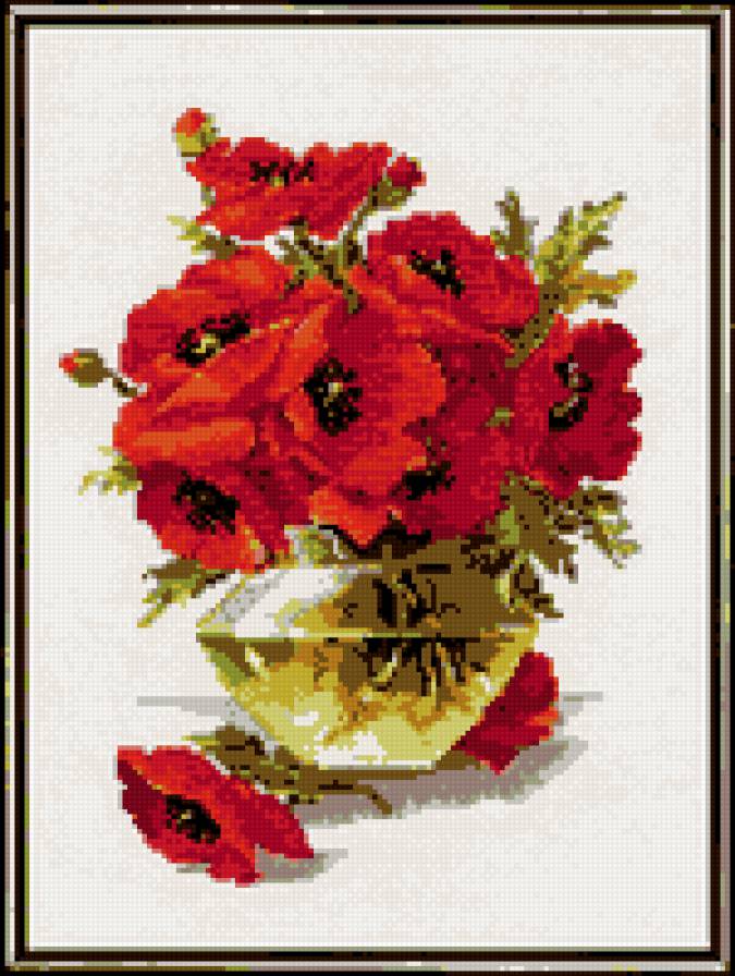 Маки - букет, маки, цветы - предпросмотр