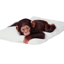 Схема вышивки «мартышка»