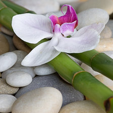 Схема вышивки «орх»