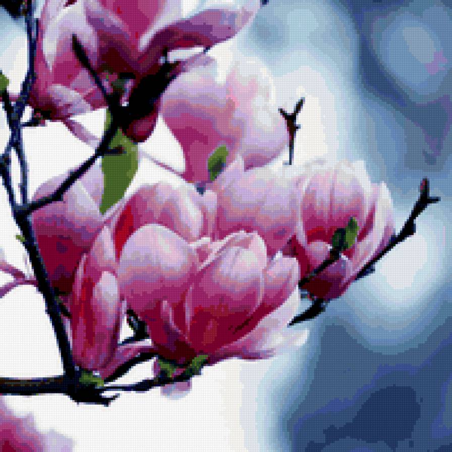 магнолия - цветы - предпросмотр