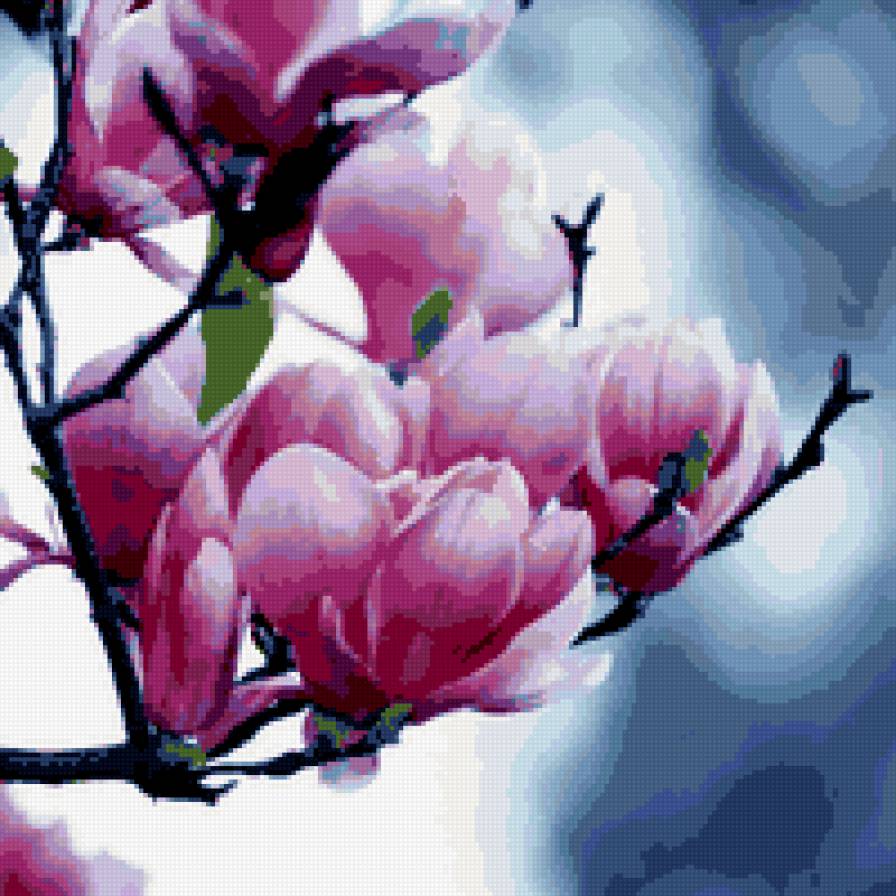 магнолия - цветы - предпросмотр