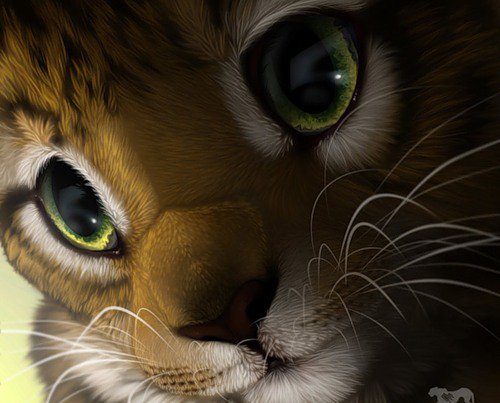 Котик - коты - оригинал