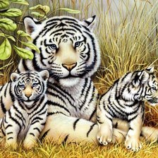 Схема вышивки «№236466»