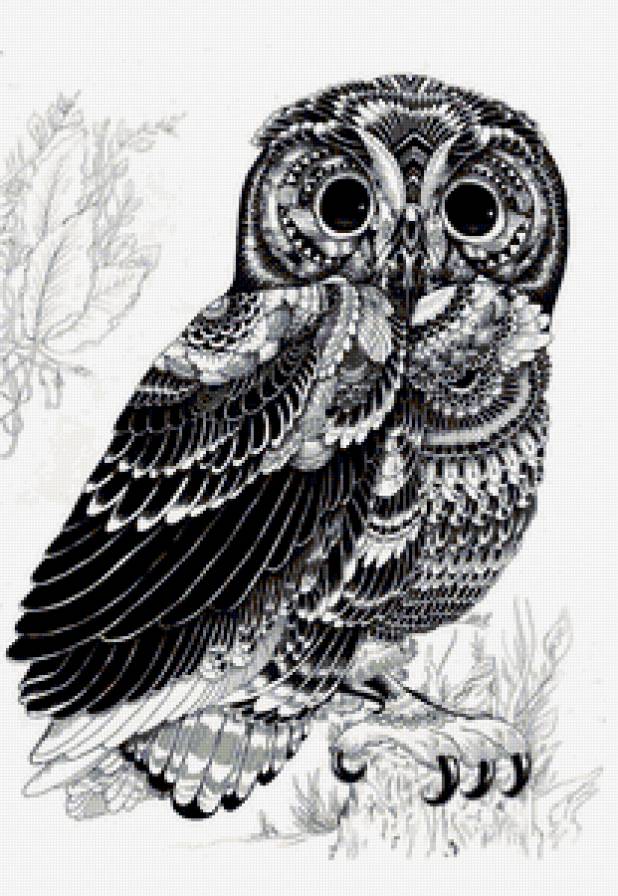 Сова - сова, черно-белое - предпросмотр