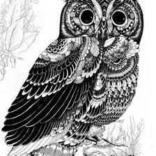 Схема вышивки «Сова»